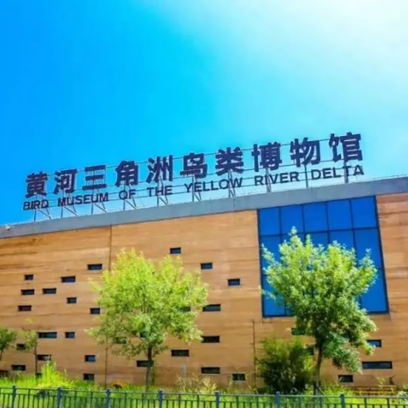 The Palace Museum