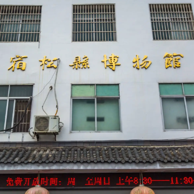 The Palace Museum