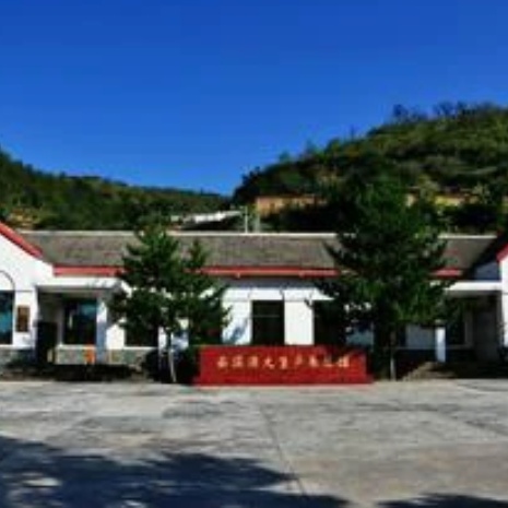 The Palace Museum