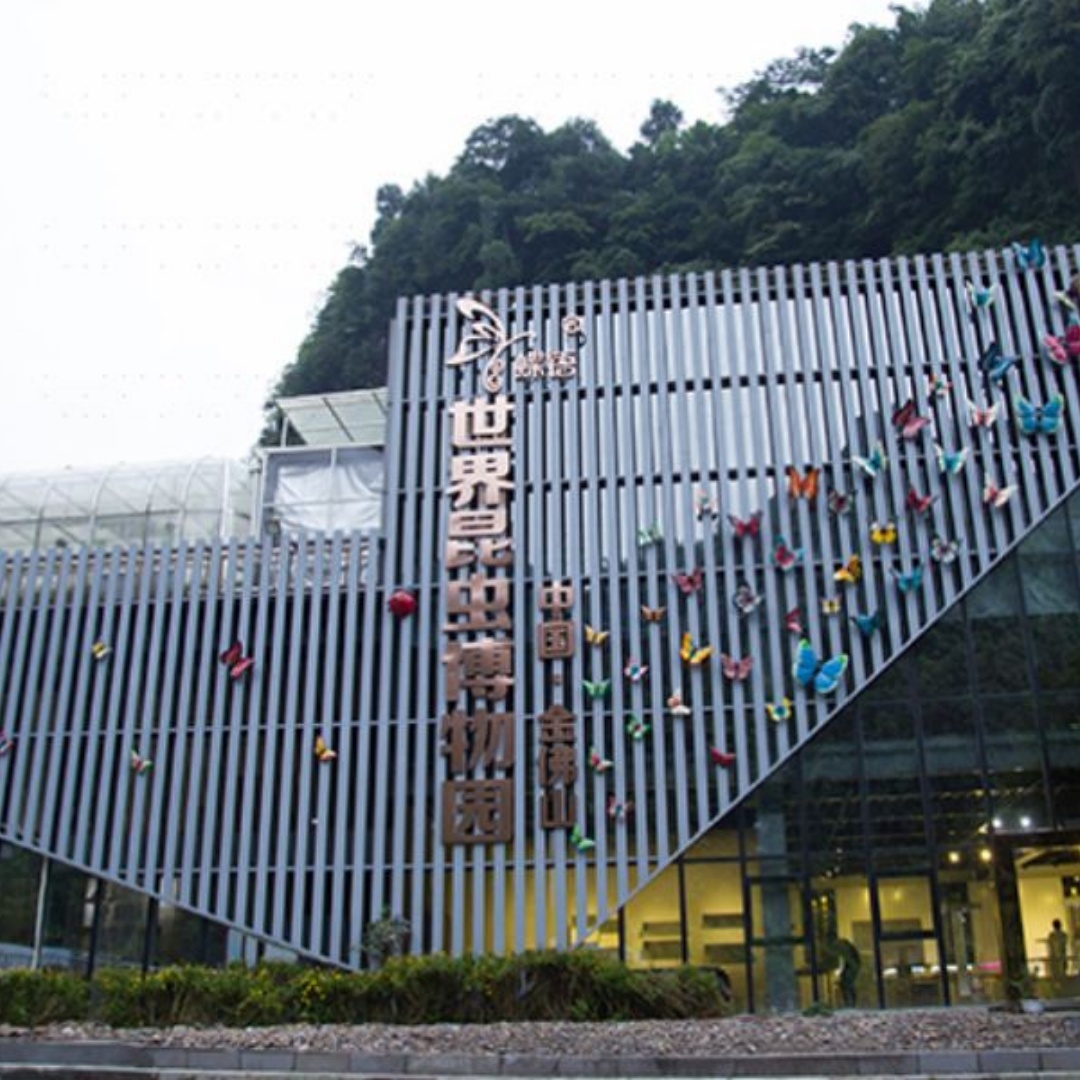 The Palace Museum