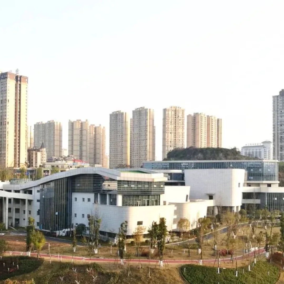 The Palace Museum