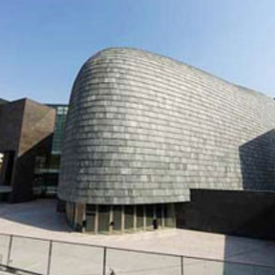 The Palace Museum