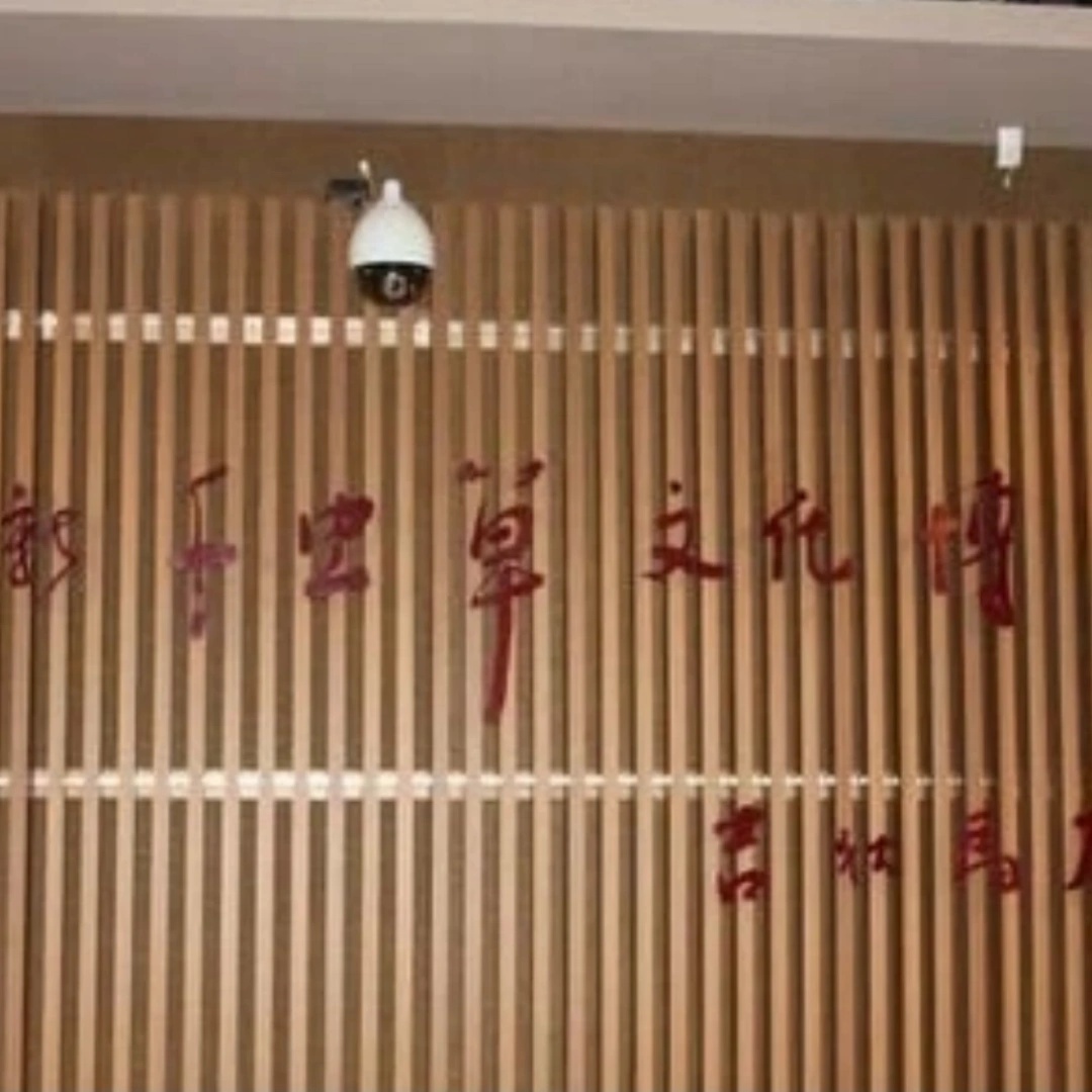 The Palace Museum