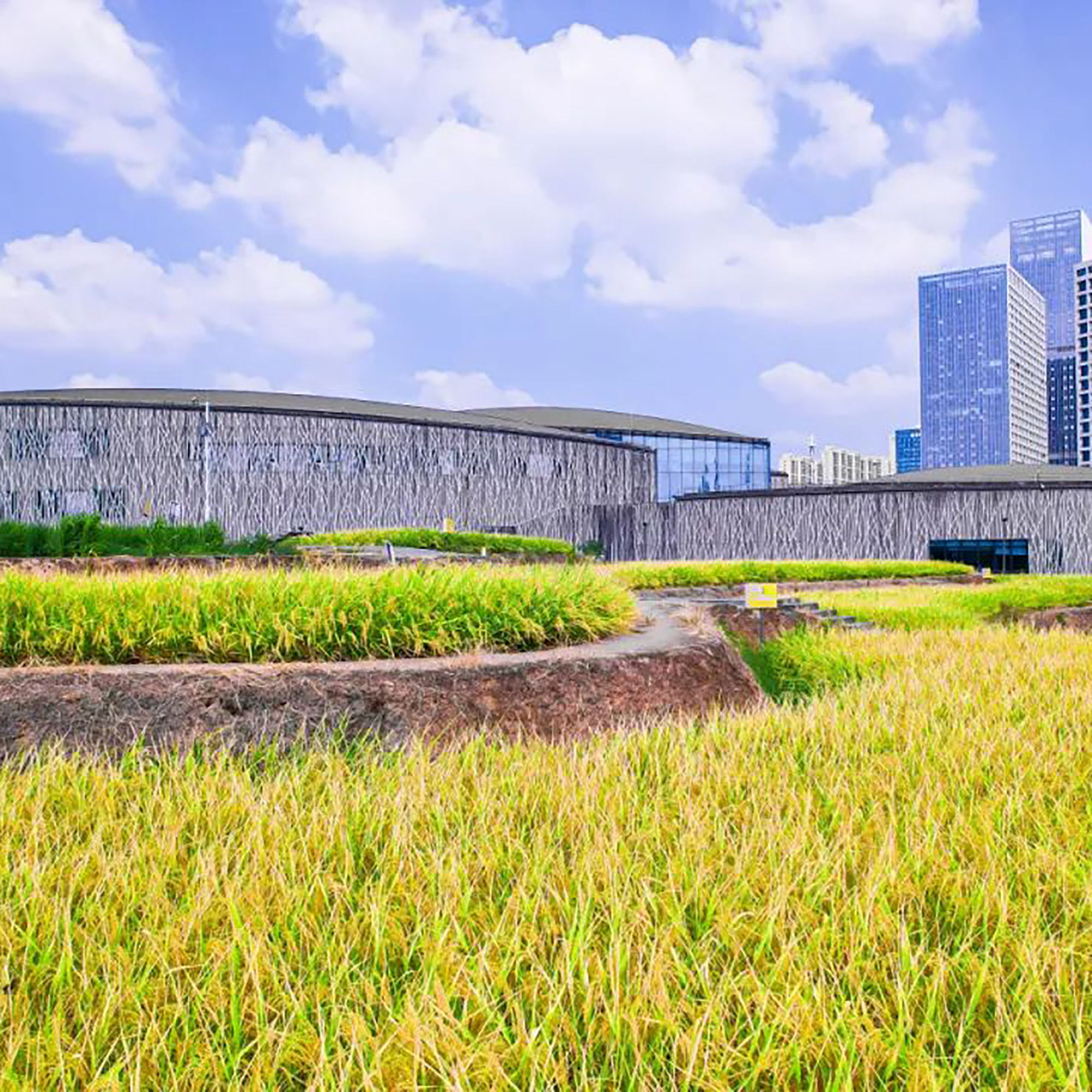 The Palace Museum