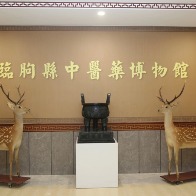 The Palace Museum