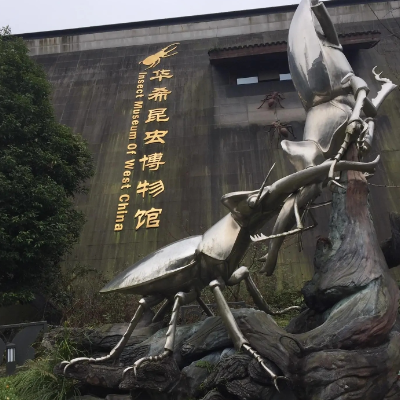 The Palace Museum