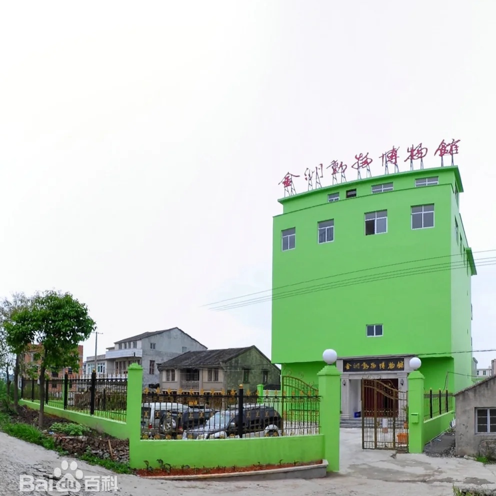 The Palace Museum