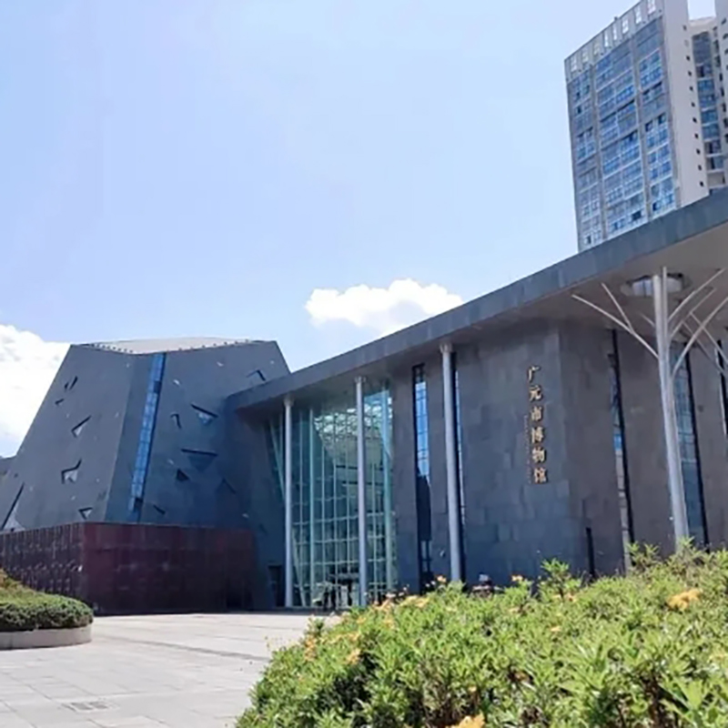 The Palace Museum