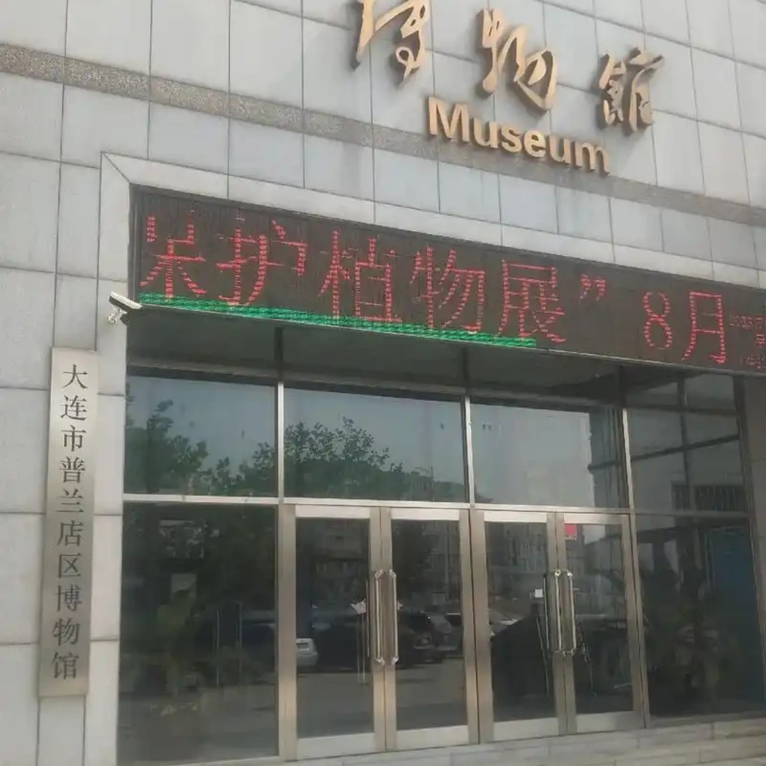 The Palace Museum
