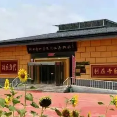 The Palace Museum