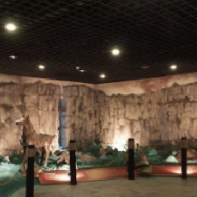 The Palace Museum