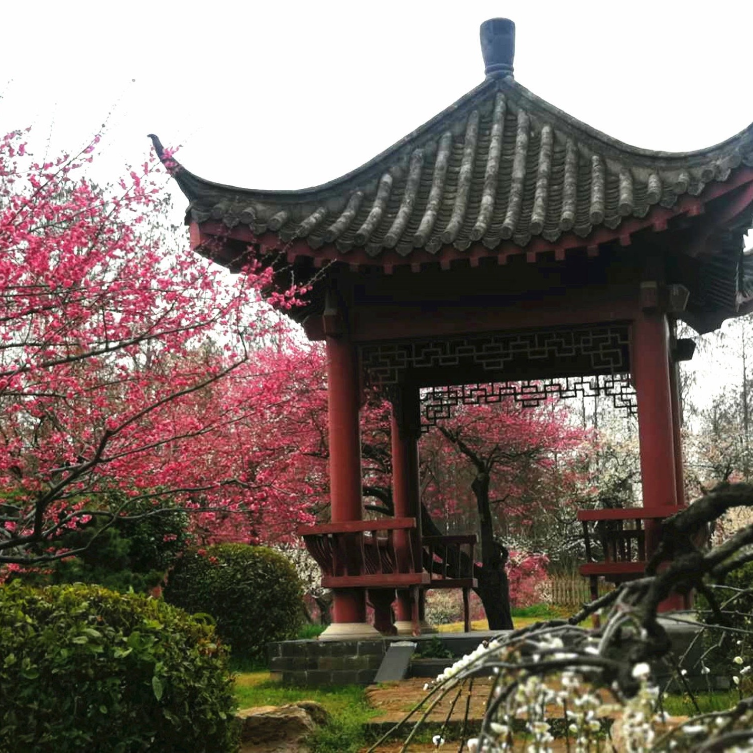 The Palace Museum