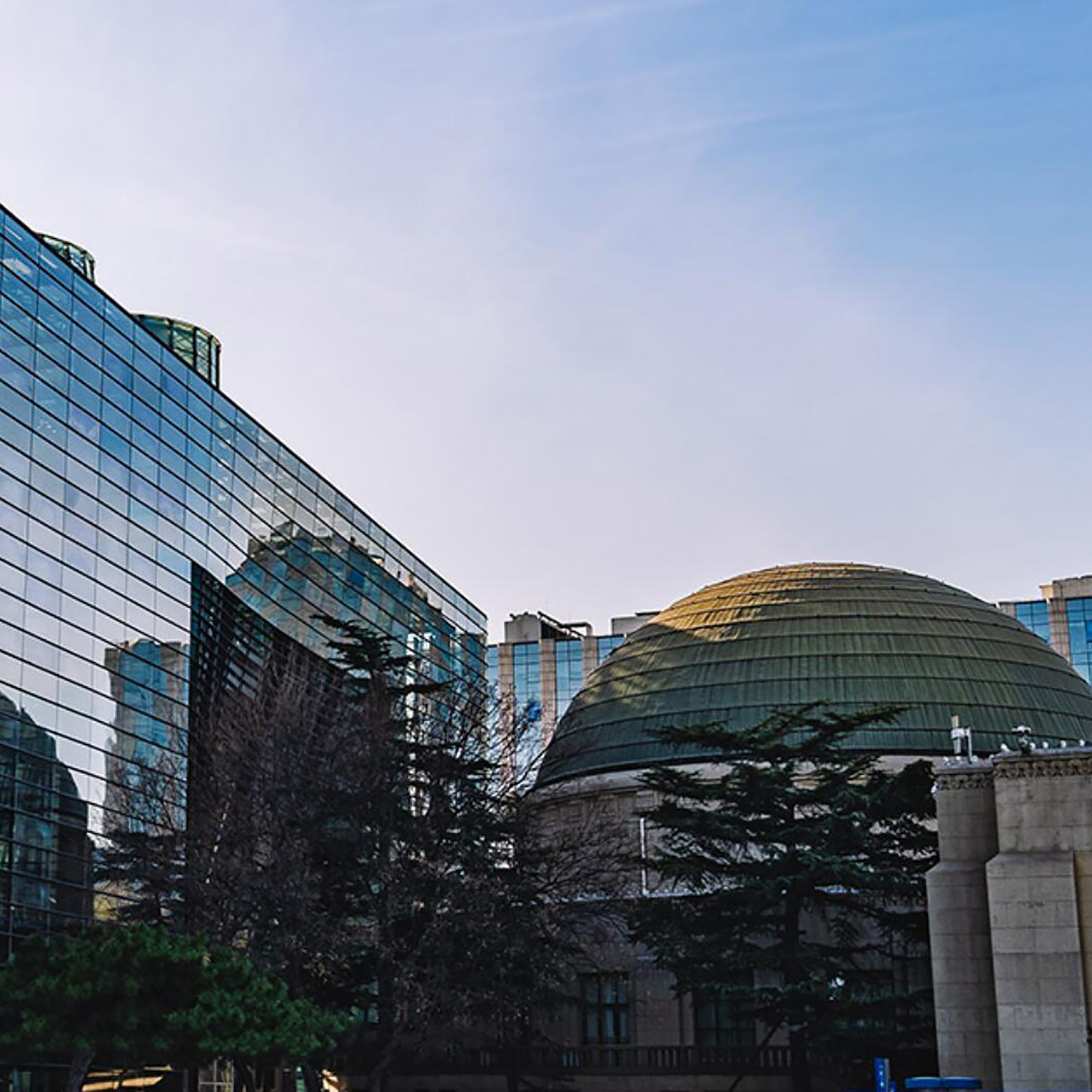 The Palace Museum