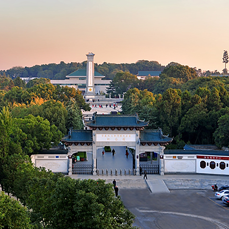 The Palace Museum