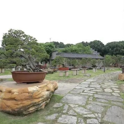 The Palace Museum