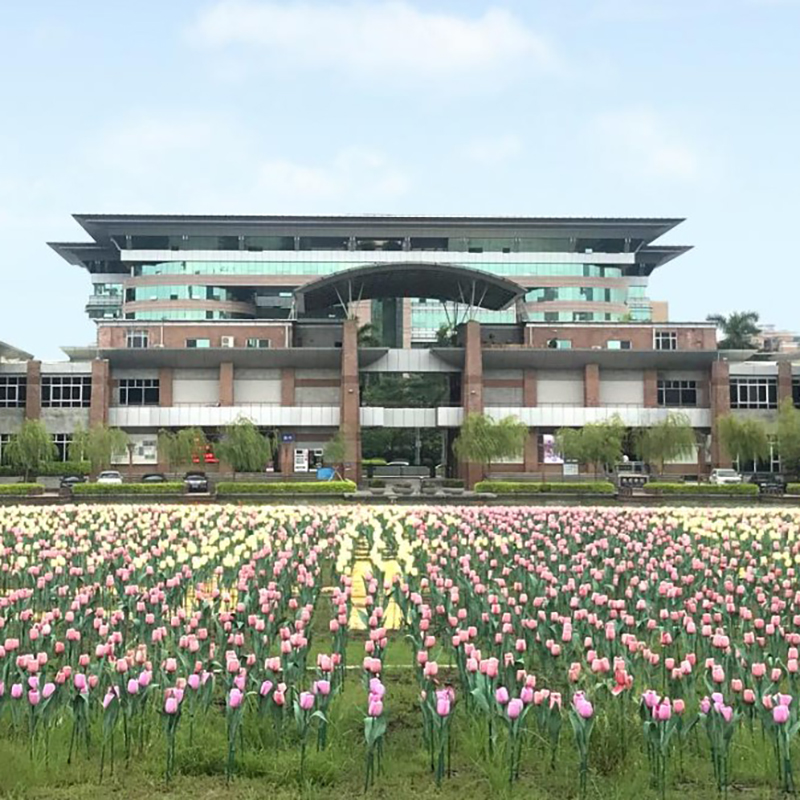 The Palace Museum