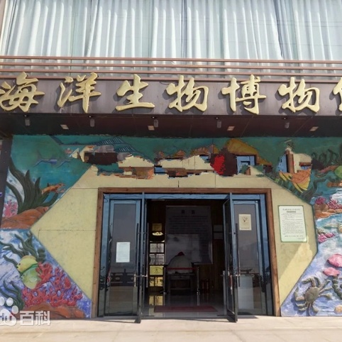 The Palace Museum