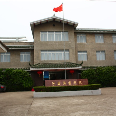 The Palace Museum