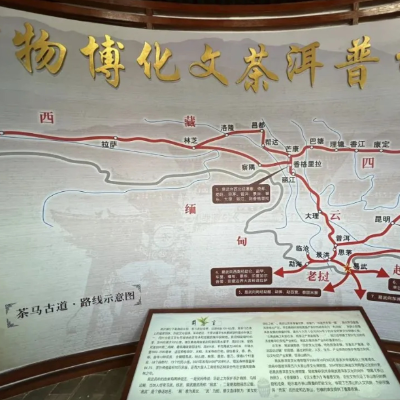 The Palace Museum