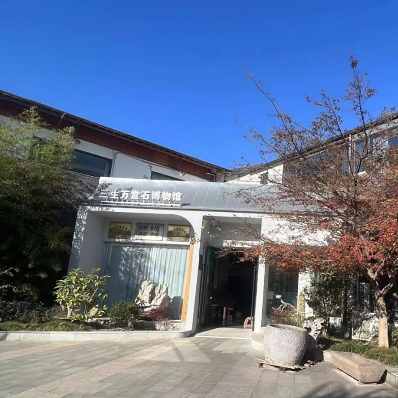 The Palace Museum