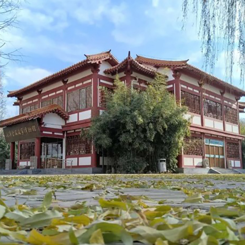 The Palace Museum