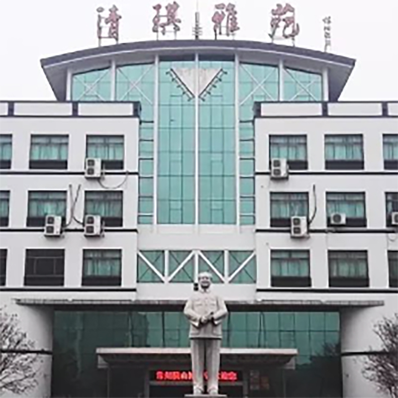The Palace Museum