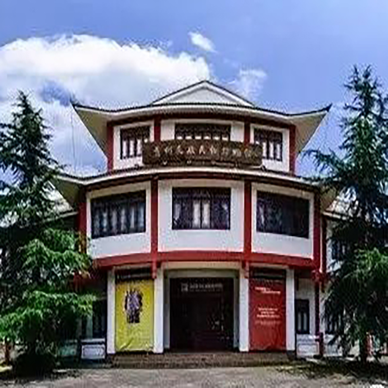 The Palace Museum
