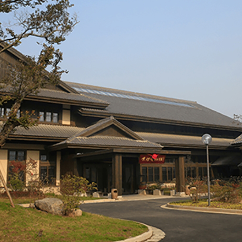 The Palace Museum