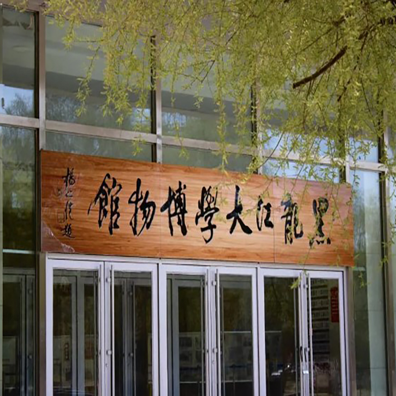 The Palace Museum