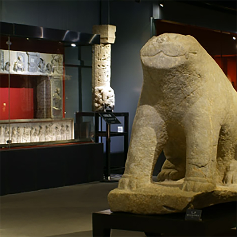 The Palace Museum