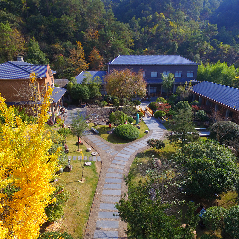 The Palace Museum