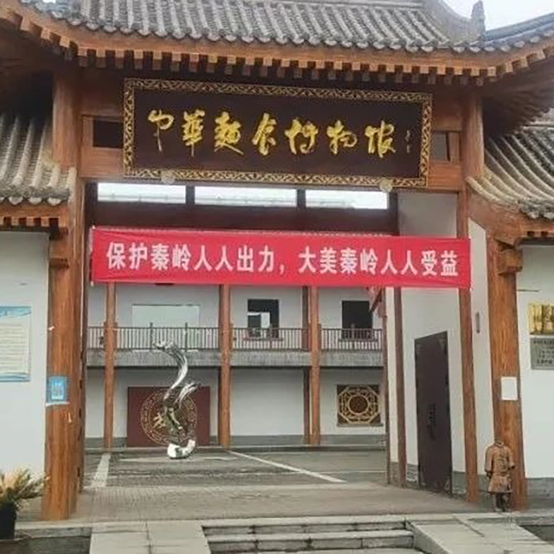 The Palace Museum