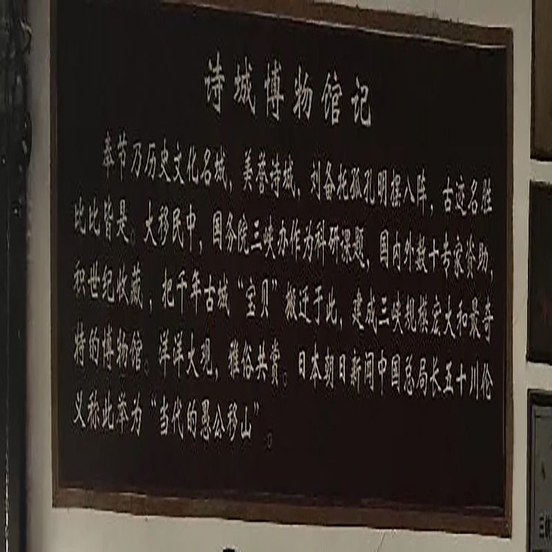 The Palace Museum