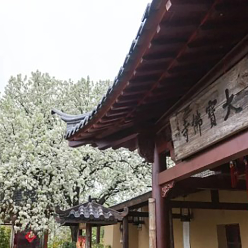 The Palace Museum