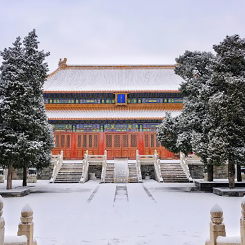 The Palace Museum