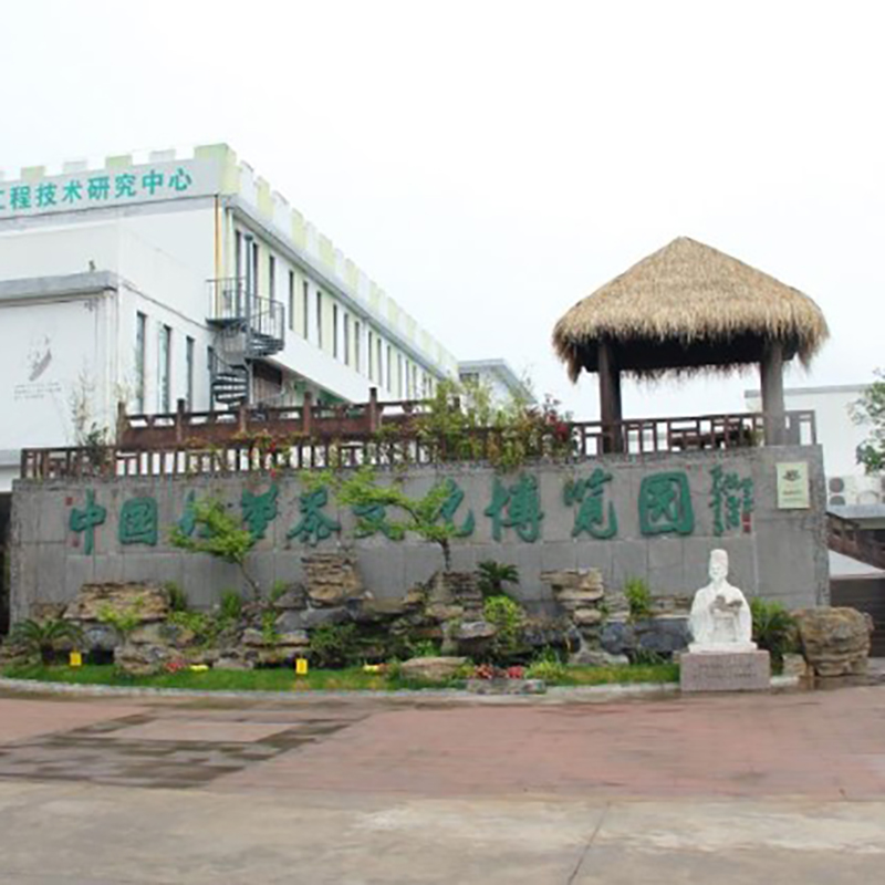 The Palace Museum