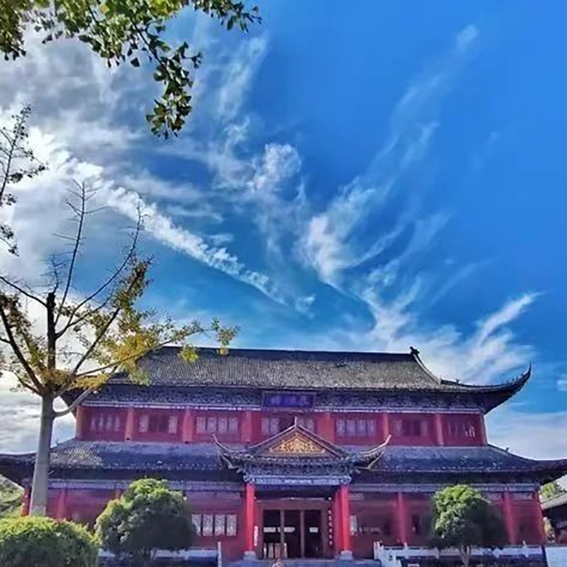 The Palace Museum