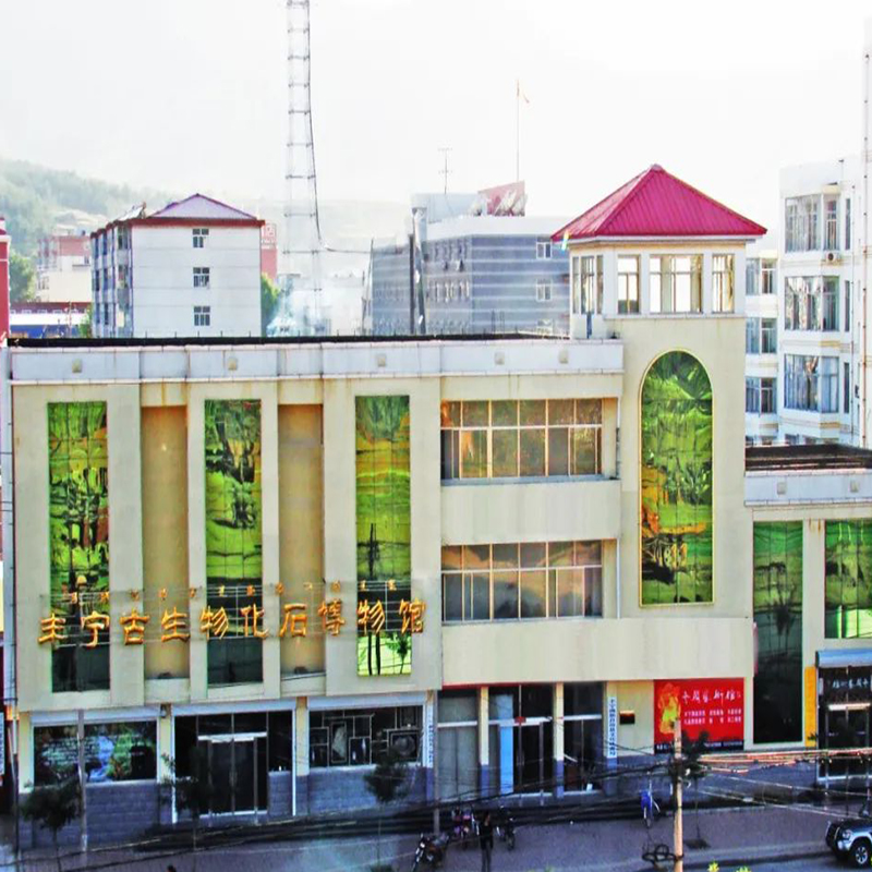 The Palace Museum