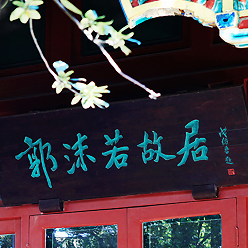The Palace Museum
