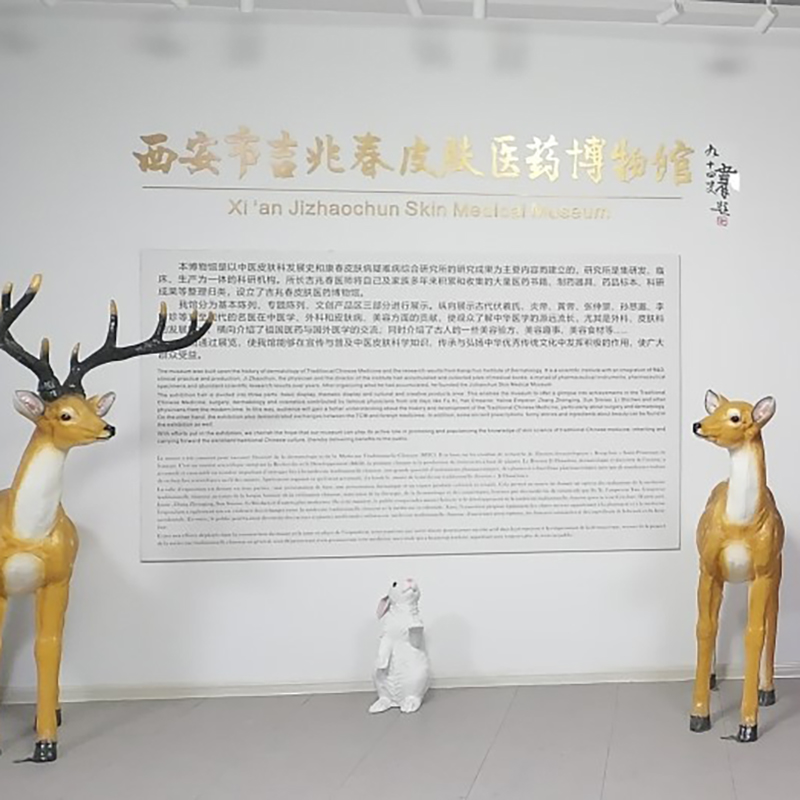 The Palace Museum