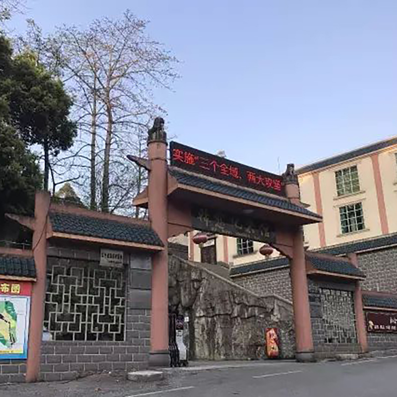 The Palace Museum