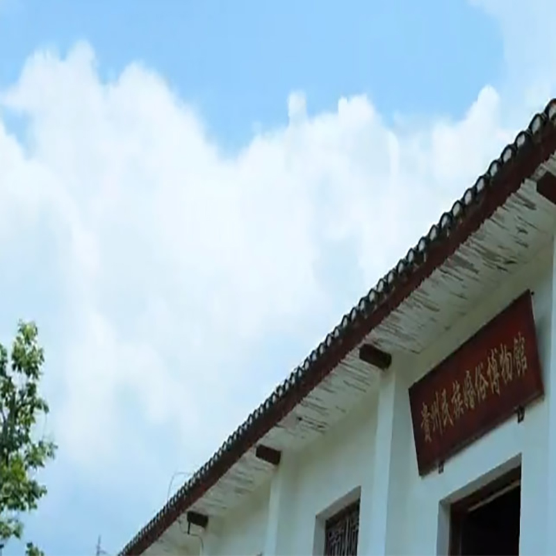 The Palace Museum