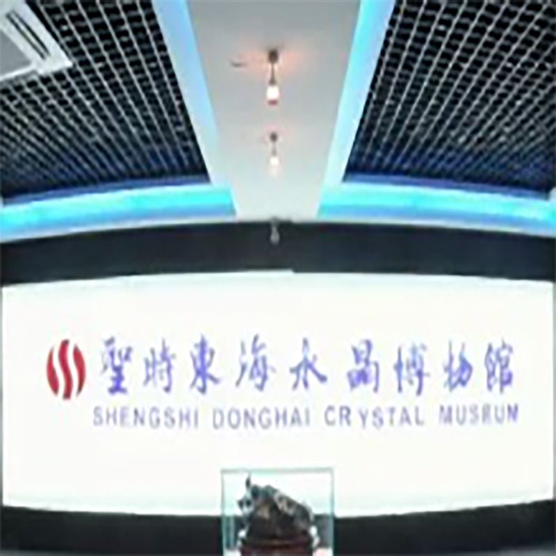 The Palace Museum