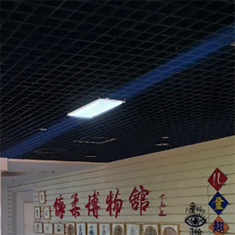 The Palace Museum