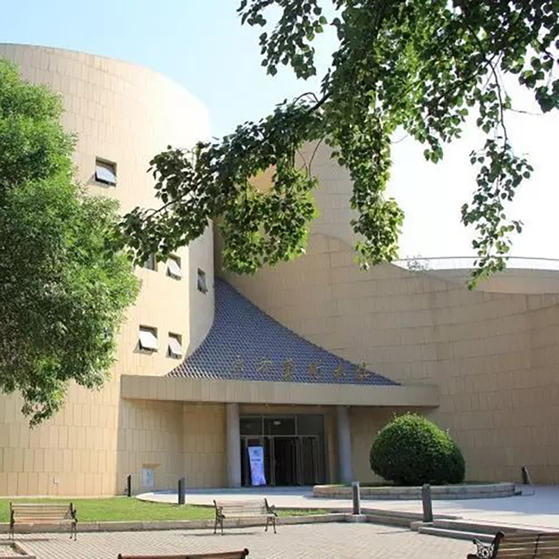 The Palace Museum