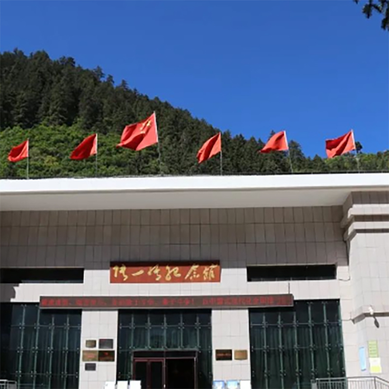 The Palace Museum