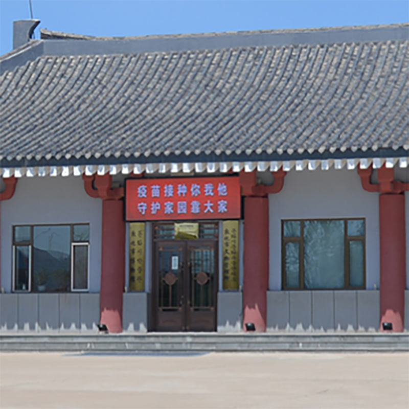 The Palace Museum