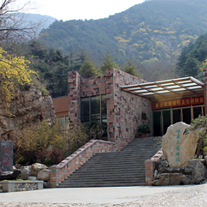 The Palace Museum