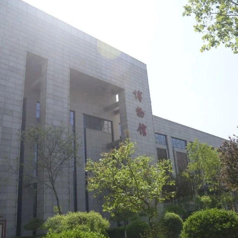 The Palace Museum