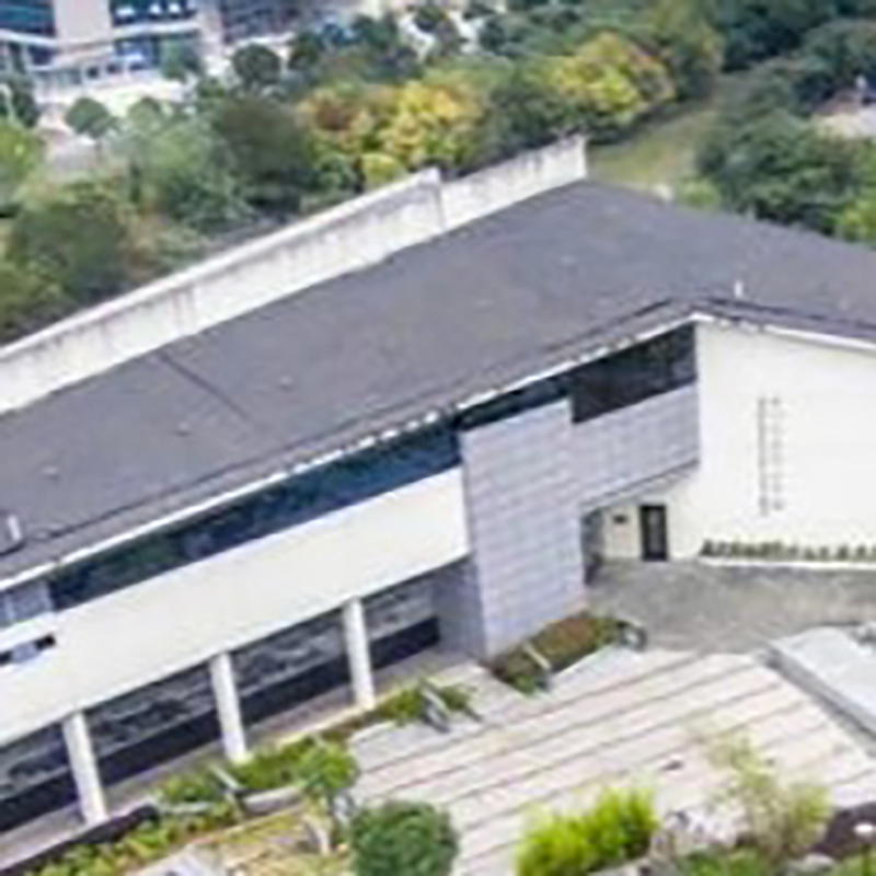 The Palace Museum
